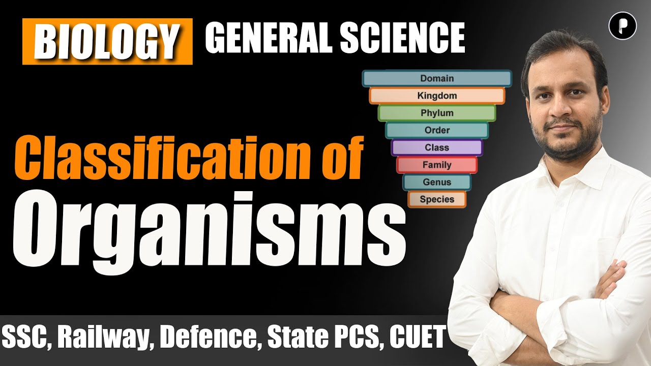 Classification Of Organisms