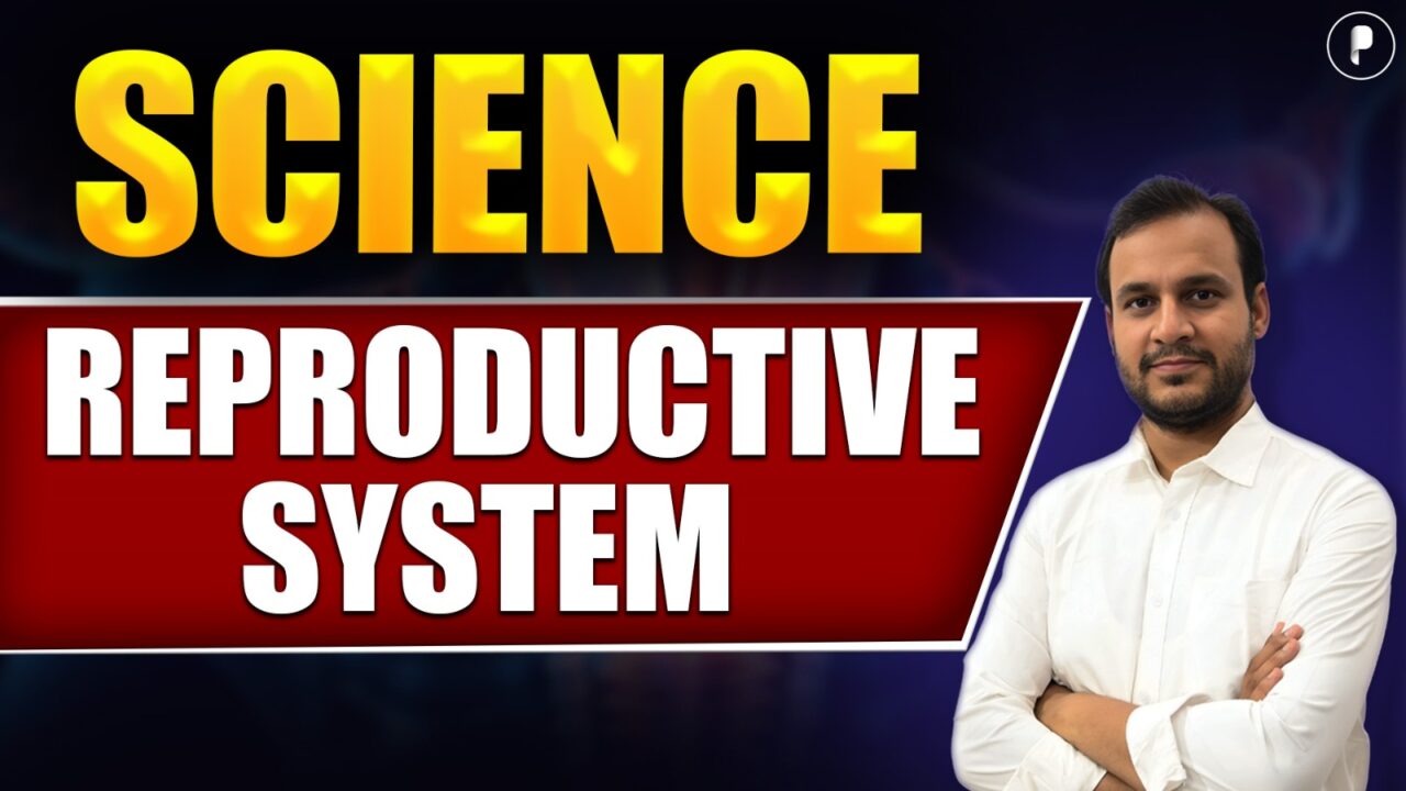 Reproductive Systems For SSC I General Science Questions - PDF