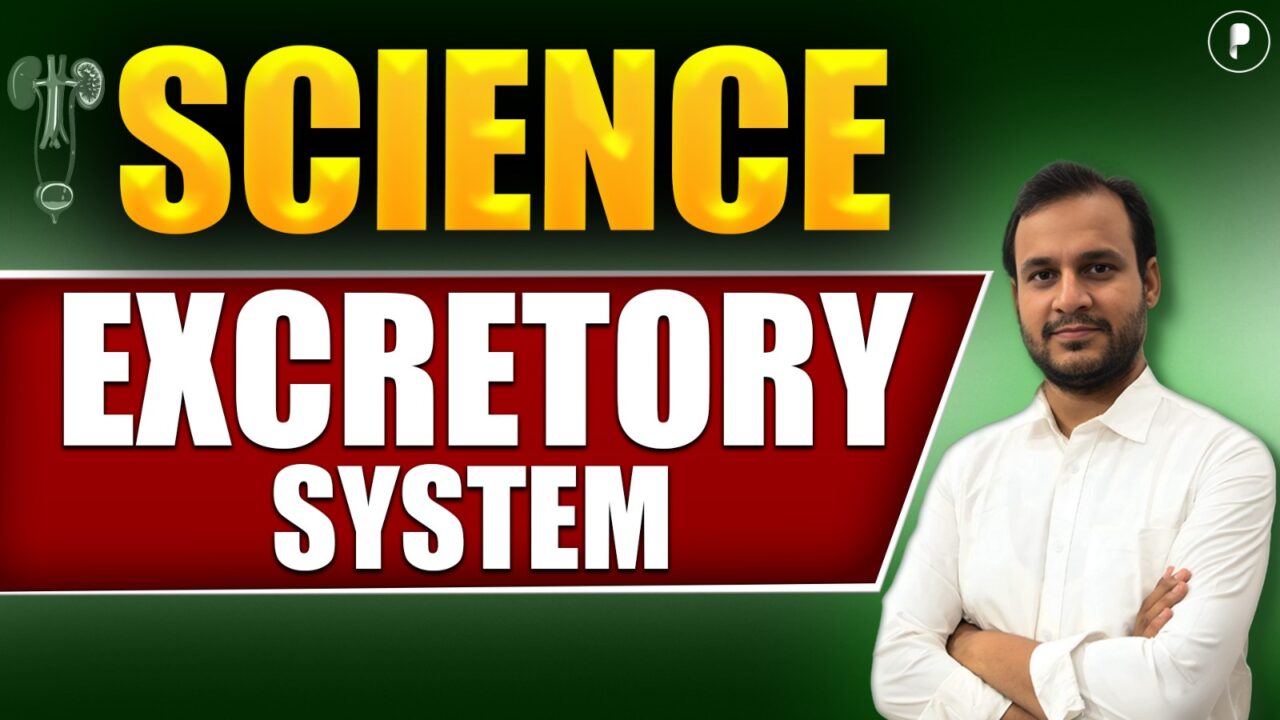 Excretory Systems For SSC I General Science Questions - PDF