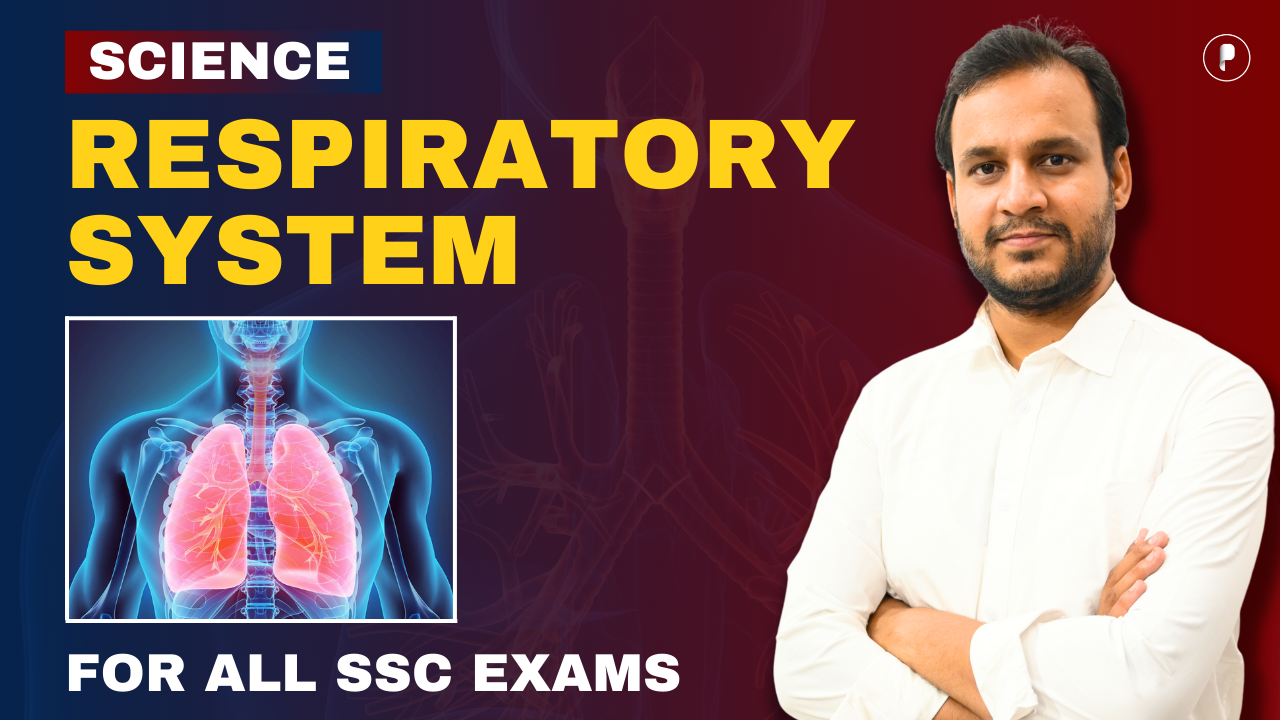 Respiratory System for SSC - PDF