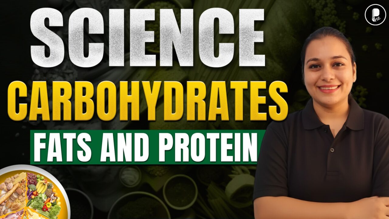 Macronutrients: Carbohydrates, Fats, Proteins Explained | Biology