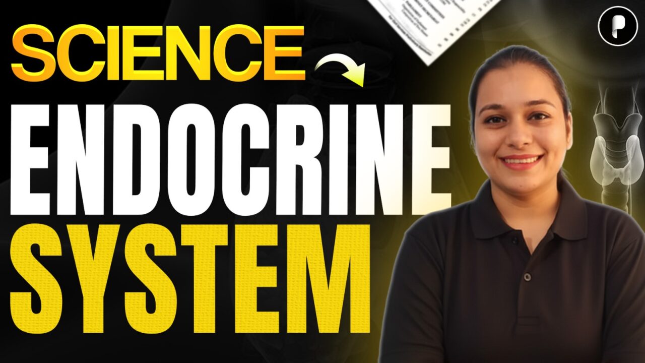 Endocrine and Exocrine Glands Explained with Diagram | Science for SSC, NDA, CDS